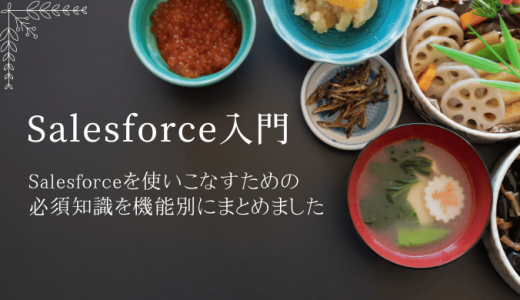 Salesforce設定入門｜初心者が知っておきたい用語と基本知識