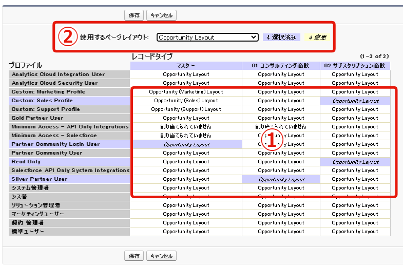 sfdc レコードタイプ毎 項目 選択肢出し分け