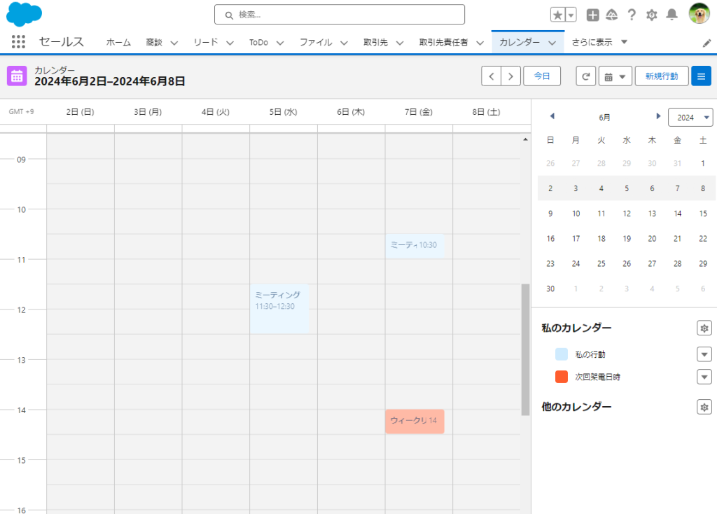 Salesforceカレンダーの表示